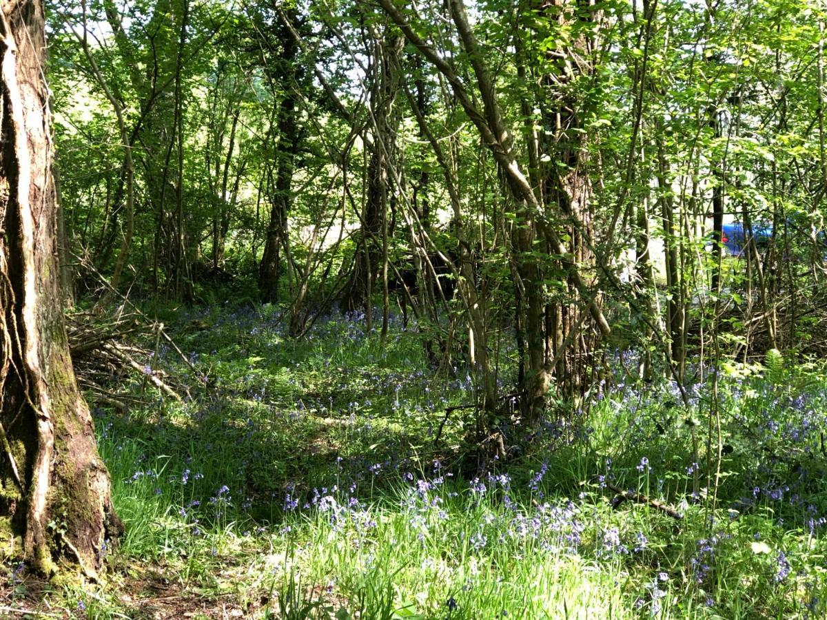 Villa Coed Y Marchog Woodland Retreat Hereford Esterno foto