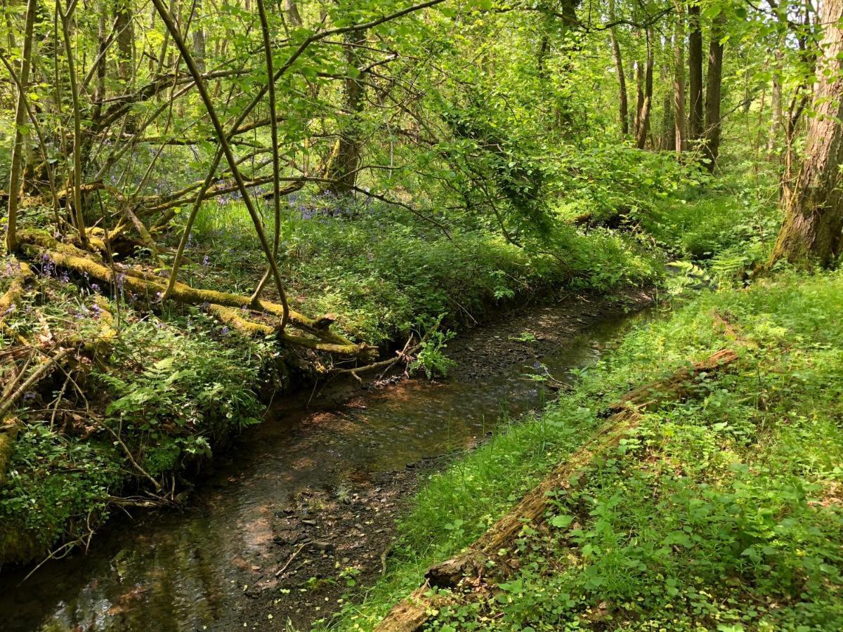 Villa Coed Y Marchog Woodland Retreat Hereford Esterno foto