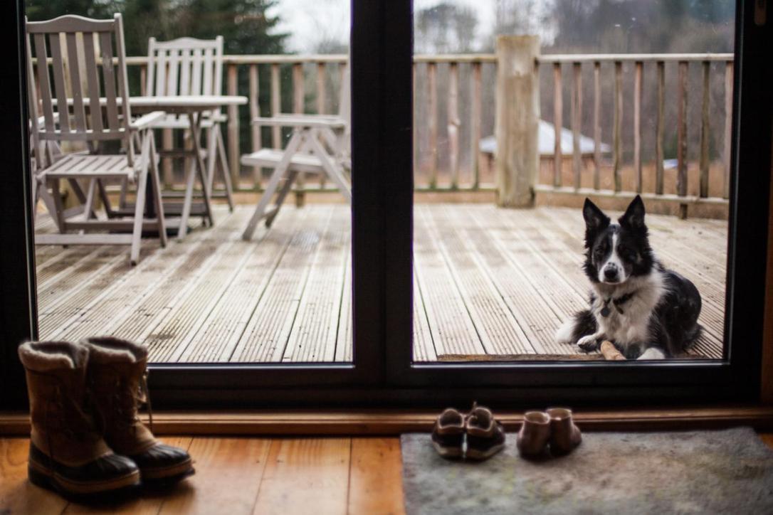 Villa Coed Y Marchog Woodland Retreat Hereford Esterno foto