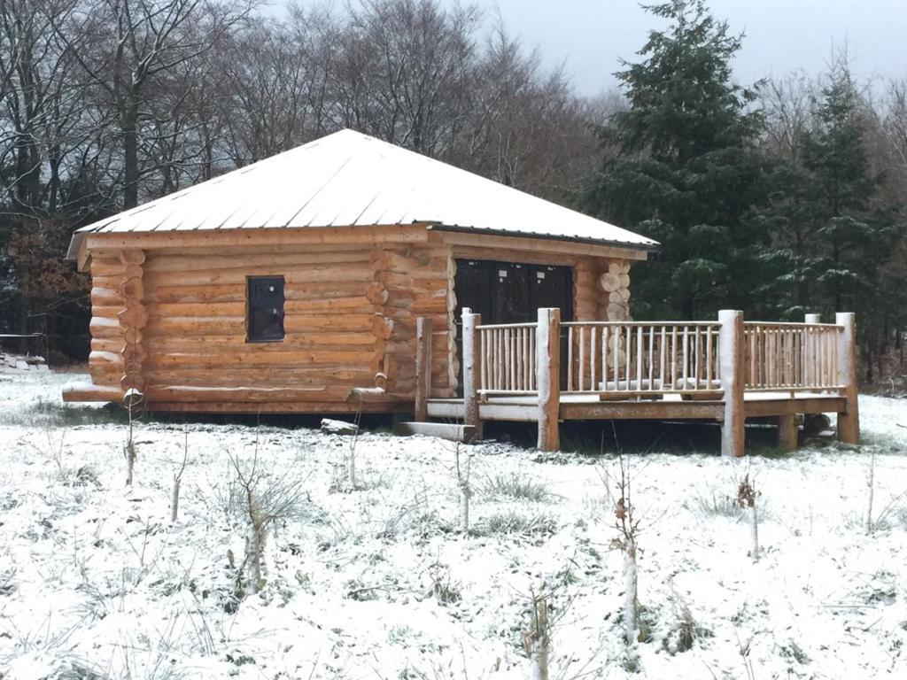 Villa Coed Y Marchog Woodland Retreat Hereford Esterno foto